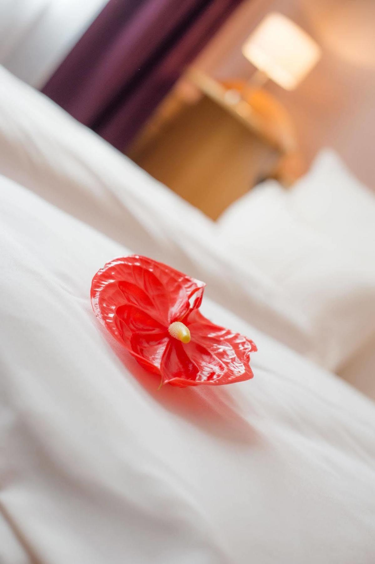 Hotel Raffel 제너스도르프 외부 사진